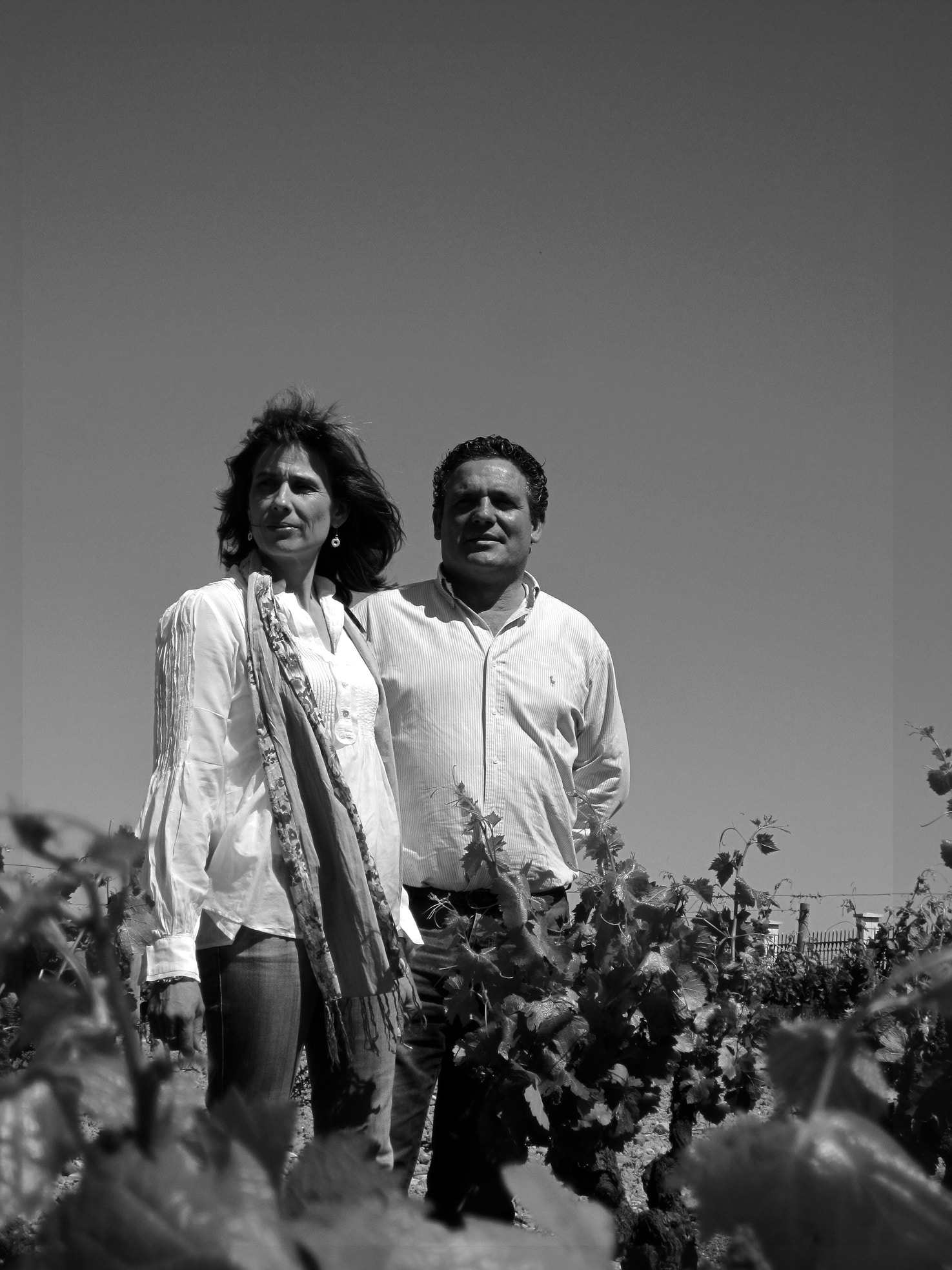 Alvarez-Alfaro